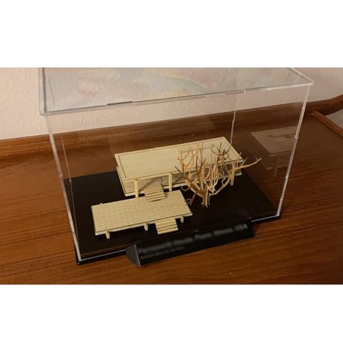 Rygcrud Vitrina Acrílica Transparente, Grande Montar Caja para Mostrador Cubo Soporte Organizador para Figuras De Acción Juguetes Coleccionables, Sólo Escaparate(50x30x30 cm)