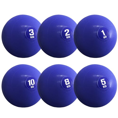 KaRaDaStyle fBV{[ 1kg 2kg 3kg 5kg 8kg 10kg X{[ EFCg{[ ̊ g[jO ؃g GNTTCY ˂Ȃ oEh \tg PVC {[ (v[, u[, UZbg)