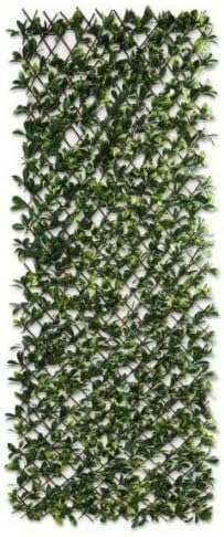 St@llion Expanding Green Plastic Wall Foldable Trellis Fence Flower Shrubs Vegetables Obstacle Frame Outdoor Climbing Plant Expansion Trellis, (Pack of 1)