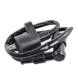 Rm Stator RM06001 Ignition Coil