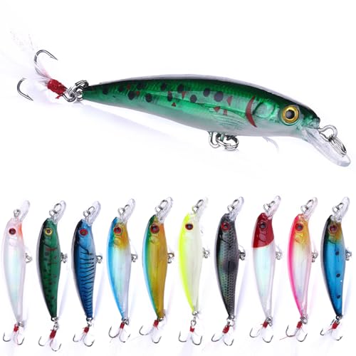 Jerkbait Fishing Lures, Jerk Baits for Bass Fishing,Top Water Bass Fishing Lures for Bass Trout Walleye Lures, Jerk Bait 10pcs with Box