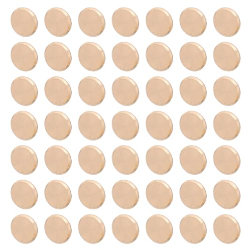 HAMPPLIES 50 Ǌ|vp bjLbv vCi ϋvK z[fR[V