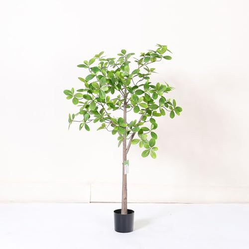 [LJKI] ϗtA ̂Ȃ pL ^ CeA  傫  k 120cm JXj Vzj zj tFCNO[ ϗA v[g 蕨 lHϗt A tFCN  bȂ sv z[ 