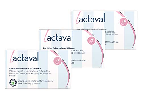 håvsund lactaval - 3 Monate - Nahrungsergänzung mit Bockshornklee, Fenchel, Kümmel für die Stillzeit - Hergestellt in Deutschland Monatspackung 180 Kapseln