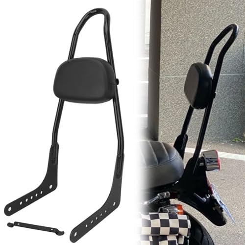 Barre sissy et appui-dos de passager moto pour s'évader en Harley Softail Fat Bob de 2018 à 2020