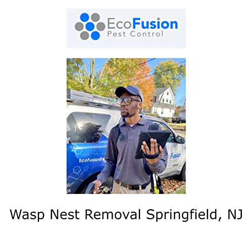 Wasp Nest Removal Springfield, NJ
