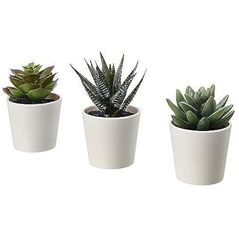 Plantes succulentes artificielles IKEA Fejka Cover