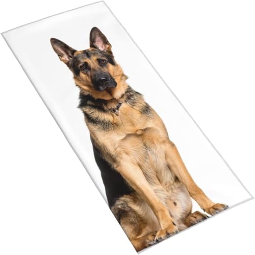 tFCX^I ĂW[}EVFp[h }CNt@Co[ ^I _炩 ɗD G肪ǂ ӂӂ ɗD ʋC 킢 RۖhLH uԋz  ϋv  щHȂ Ɩp^I