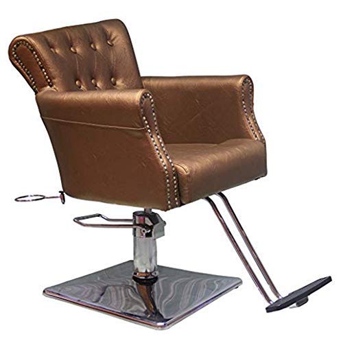 Beauty Style Styling Barber Chair Hair Beauty Salon Equipment Gold-Style 3