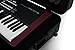 Gator Cases Frequent Flyer's Series Molded Flight Case for 88-Note Keyboards with TSA Approved Locking Latches and Recessed Wheels, (GTSA-KEY88)