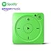 Produktbild Mighty Vibe Spotify und Amazon Music Player - Musik und Podcasts ohne Handy - Mit Bluetooth oder WLAN Synchronisieren - Shamrock Grün