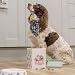 Wrendale Designs Leckerli-Dose für Hunde
