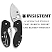 Spyderco Insistent Value Knife with 2.47