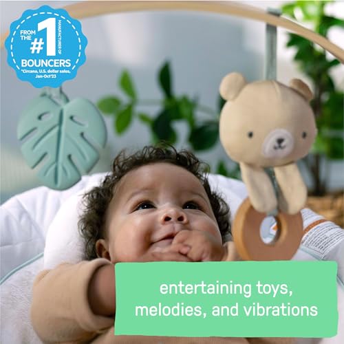 Ingenuity Cozy Spot Soothing Baby Bouncer with Wooden-Toy Arch, Natural Rubber-Toy, Safety Harness, Music & Auto-Shutoff, 0-6 Months, Grey