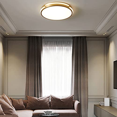 Plafonnier près du plafond plat pour illuminer les pièces sombres et bas de plafond - 5