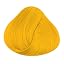 Yellow (sunflower)
