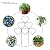 Plant Trellis for Climbing Plants Indoor Outdoor, Trlzey 3 Pack Stackable Metal Trellis - Small Garden Trellis for Potted Plants, Vine Support for Ivy, Flowers, DIY Home Deco