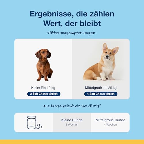 ProDen PlaqueOff Soft Chews für Zahnpflege Hund, Dose mit 120 Hunde Leckerlis, Natürliche Zahnreinigung Hund, für kleine und mittelgroße Hunde, Zahnbelag entfernen und frischer Atem
