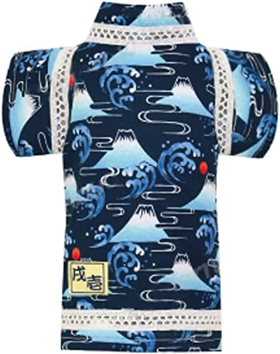 A ^ r xm  a ͂Ă hbOEFA (10)