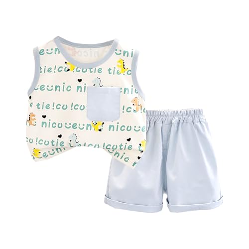 wkcco Children's Short Sleeved Set,Cartoon Round Neck Dinosaur Vest for Boys and Girls,Casual and Fashionable Two-Piece Set