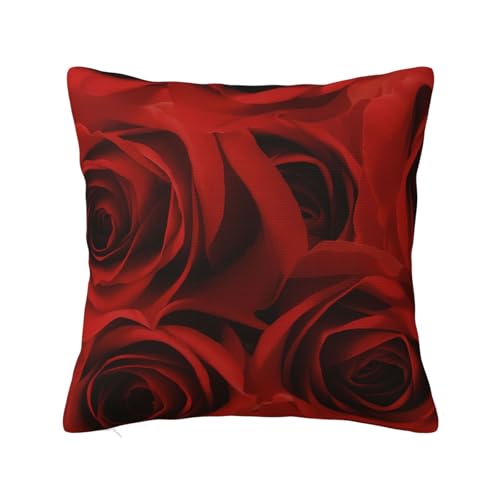 KN ԕ Jo[  Bt@Xi[ ԗplGʗp 20"X20"