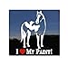 I Love My Paint! American Paint Horse Trailer Vinyl Window Decal Sticker