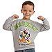 Disney Sweatshirt, Mickey Mouse Sweatshirt, Boys Sweater, Mickey And Friends Kids Jumper, Cotton Boys Clothes 6 Grey