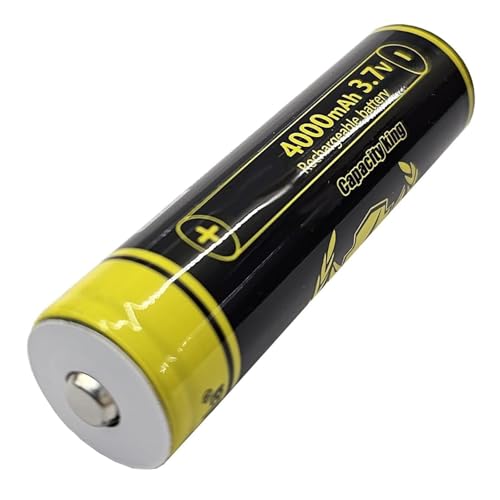 Batteria Ricaricabile 4000 mAh 3,7 V NiMH Professionale Torcia Telecamera