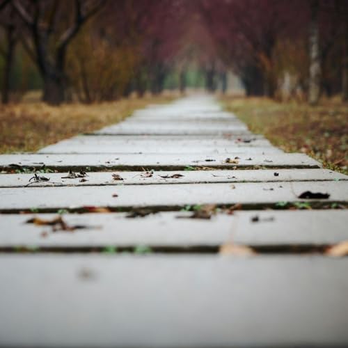 El Ere - Reflexiones sobre el asfalto 44