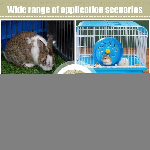 Cabane à lapin en bois et cachette pour cochon d'Inde avec toit plateforme - 5