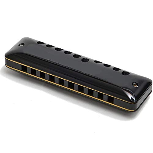 KIRANDIE Harmonica diatonique 10 Trous Blues Harp Key C ABS Comb Professional Instruments de Musique - Les Beatles, Paul McCartney, John Lennon, RIngo Starr, George Harrison KIRANDIE Harmonica diatonique 10 Trous Blues Harp Key C ABS Comb Professional Instruments de Musique – Image 5