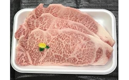 長崎和牛サーロインステーキセット(400g)