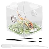 UKCOCO Transparenter Reptilienbrutkasten aus Acryl mit Belüftungslöchern Mittlere Spinnen...