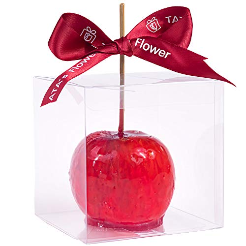 Clear Candy Apple Boxes with Hole 4x 4x 4 Transparent Favor Boxes Set of 20 Food-Grade Treat Box for Caramel Apples Cake Pops Cookies Chocolates (Clear 20)
