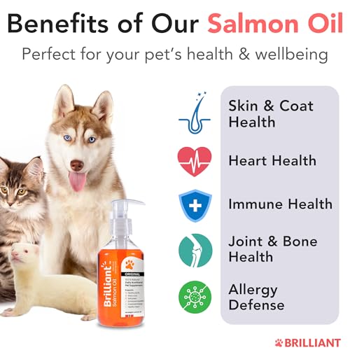 Hofseth Biocare Brilliant Salmon Oil for Dogs, Cats, Puppy, Horse, Ferret & Pets - Pure Omega 3, 6 & 9 Fish Oil Food Supplement | Treats Itchy Skin, Joint Care, Heart Health & Natural Coat (1 Litre) - Image 4