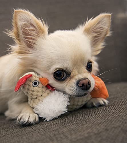 Image of goDog Checkers Just For Me Fat Rooster Squeaky Plush Dog Toy, Chew Guard Technology - White, Mini
