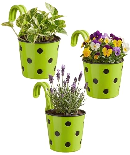 Image of Premium Hook Planter with Inner Pot | Polka Dot Hanging Planter for Balcony & Railings | Sturdy Plastic | Built-in Drainage | Vibrant Colours | Indoor & Outdoor Gardening (3, Green)