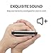 Focusound Thunder Harmonica Key of C Blues Harmonica 10 Holes 20 Tones with Quick Start Harmonica Guide and Cleaning Cloth for Beginner, Adults and Students