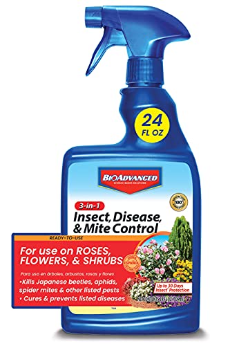 GLACIER FRESH GF54, 2 Count (Pack of 1), White