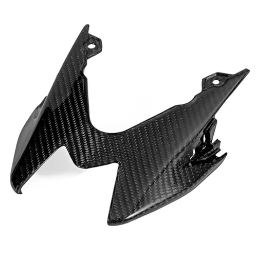 Aileron moto carbone pour BMW S1000RR carénage de prestige