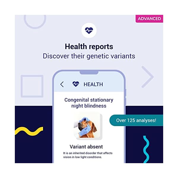 Koko DNA Test for Dogs Advanced – (+150 Reports of Breeds, Health and Traits) – Updates at no Cost Koko DNA Test for Dogs Advanced – (+150 Reports of Breeds, Health and Traits) – Updates at no Cost