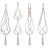 Eine sehr hübsche Dekoration für Ihr Zuhause, Garten, Terrasse oder Büro, es erhellt Ihren Platz mit kühnen Stil und natürlichem Grün.