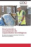 Acumulación y socialización de capacidades tecnológicas: El caso de una gran empresa: Cementos Mexicanos (CEMEX)