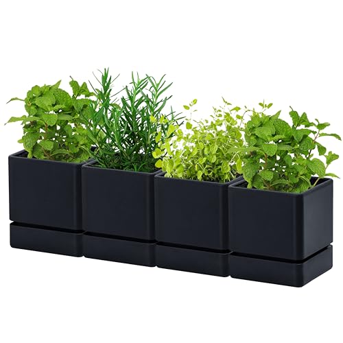 D'vine Dev 4-Pack Plastic Herb Planter Pots, 4 in, Black, 76-Y-B4-1