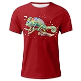 2026 Herren T-Shirt Rundhals Print Kurzarm Freizeitshirt Cooles Design Sommer Übergrößen(Brick Rot,4XL)