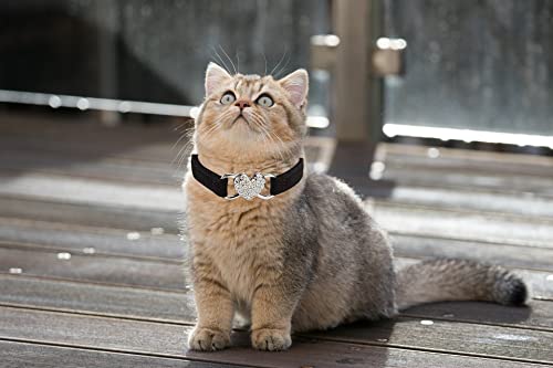 WDPAWS Heart Bling Cat Collar with Safety Belt and Bell Adjustable 8-10 inches for Kitten Cats (Black) - Image 6
