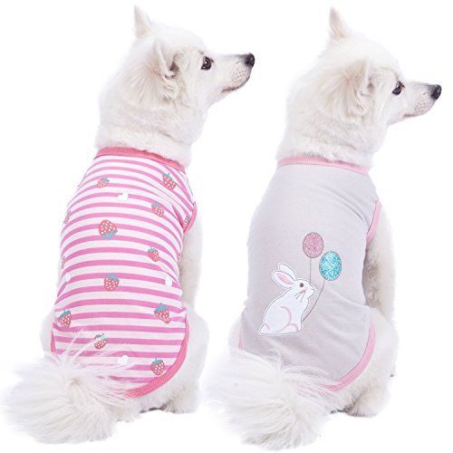 Blueberry Pet Pack of 2 Soft & Comfy Wonderland Striped Cotton Blend Dog T Shirts, Back Length 12', Clothes for Dogs