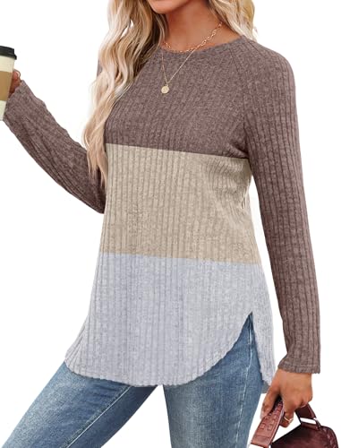 Image of Saloogoe Long Sleeve Shirts for Women 2025 Fall Clothes Tunic Tops Loose Fit Dressy Crewneck Pullover Sweaters Curved Hem