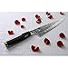 Shun Premier 7