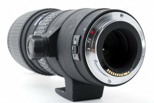 Sigma 100-300mm f4 APO EX DG For Canon Digital & Film SLR Cameras - Image 6